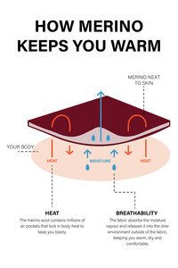 Vassalli Merino Stripe L-S Swing Dress