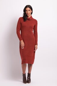 Foil Roll Neck Dress