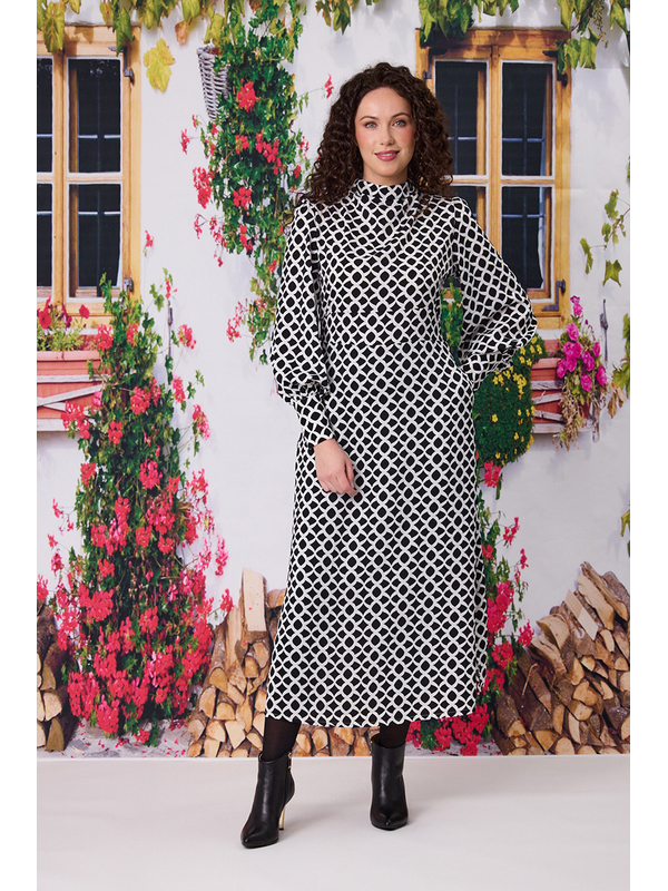 Classified Bianca High Neck Dress