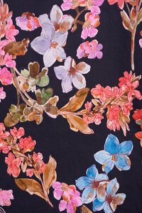 Vassalli Slim 7-8 Lightweight Pull On Pant - Willa