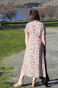 Seeking Lola Paris Dress