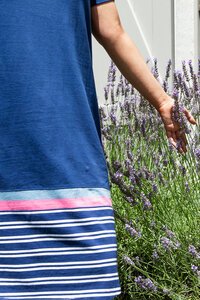 Elm Sylvia Tee Dress