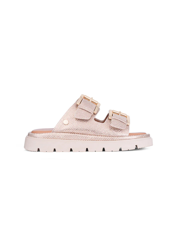 Los Cabos Toledo Slide