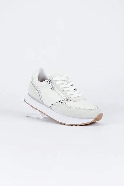 Bay Lane Fire Sneaker-lives-Hello Cyril.