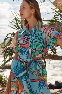 Betty Basics Rio Reef Dress