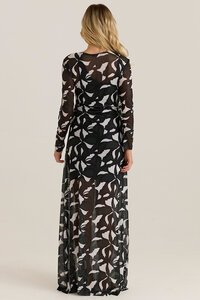 Sass Tarni Mesh Dress