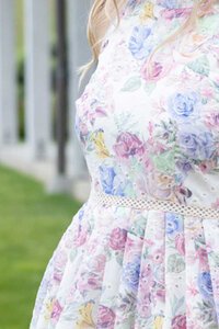 Augustine Sofia Embroidered Dress 