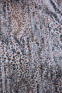 Memo Pintuck Front Shirred Cuff Blouse