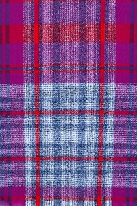 Ivys Woven Plaid Scarf