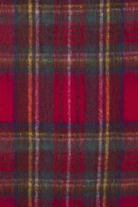 Ivys Brushed Check Scarf