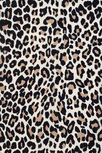 Ivys Cheetah Print Scarf