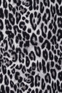 Ivys Leopard Print Scarf