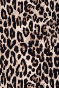 Ivys Leopard Print Scarf