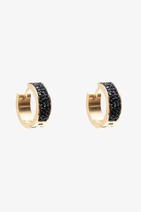 Antler Raven Earring