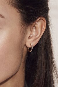 Edblad Glow Gold Earrings
