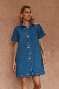 Sass Pepe Wave Denim Dress