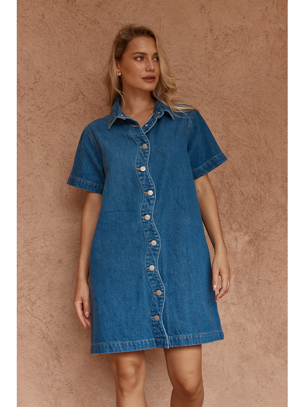 Sass Pepe Wave Denim Dress