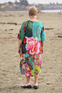 Glam Andie Dress 