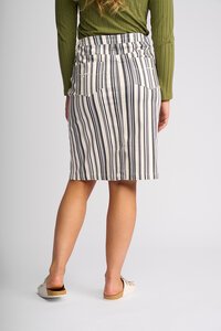 Vassalli Poppy Denim Skirt - Multi Stripe