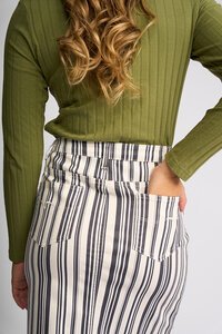 Vassalli Poppy Denim Skirt - Multi Stripe