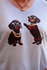 La Strada Playful Dog Artwork Top